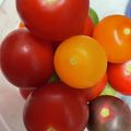 クックH86AFM☆'s cooksnap of when they made ヘタを取るだけ！ミニトマト長持ちのコツ.