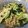 Remtan's cooksnap of when they made 蓮根が主役！野菜たっぷり甘辛肉炒め♪.