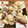 Ktwinkle's cooksnap of when they made そら豆と新ジャガの春煮物♪.