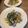 Yokchina's cooksnap of when they made あさりとほうれん草のシンプルパスタ.