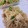 NEKOほっぺ's cooksnap of when they made 南インド風塩焼きそば.