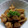 TYSK's cooksnap of when they made 鶏肉と大根の中華炒め煮.