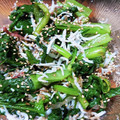 リンリン☆☆☆'s cooksnap of when they made ☆小松菜と釜揚げしらすのお浸し.