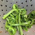 いぐれい's cooksnap of when they made こごみの下処理.