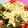 ♪ミチル♪'s cooksnap of when they made ズッキーニのマヨチーズ焼き.
