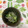 おはなすき's cooksnap of when they made ⭐︎切って和えるだけ　きゅうりとしらす　.