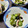☆あいちゃん's cooksnap of when they made ｍイカ(タコ)とわかめの酢の物.