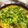 ぴろり＋'s cooksnap of when they made 絶対美味しい!フライパンで簡単親子丼.