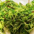 リエル2005's cooksnap of when they made レンジで豆苗と塩昆布和え.