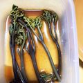 のりこったん's cooksnap of when they made 麺つゆで簡単、わらびの一本漬け.