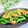 Satoco❋'s cooksnap of when they made 超簡単♪スナップエンドウとエビの中華炒め.