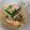 ✩ままま✩'s cooksnap of when they made ☆サーモンの簡単クリーム煮☆.