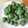 クックDF4CPM☆'s cooksnap of when they made 母の草餅 ヨモギのゆで方.