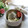 クックI7I5L1☆'s cooksnap of when they made もずく酢ととろろ昆布の冷奴.