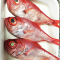 クック3QPI9C☆'s cooksnap of when they made 金目鯛の煮付け☆煮魚の黄金比.