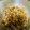 パン子♪'s cooksnap of when they made ＊＊牛とごぼうの甘辛炒め煮＊＊.