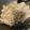 クックVMXV93☆'s cooksnap of when they made ネギ塩豚丼.