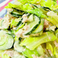 U☆kaoru's cooksnap of when they made 簡単☆キュウリとキャベツのツナマヨ和え.