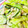U☆kaoru's cooksnap of when they made 簡単☆キュウリとキャベツのツナマヨ和え.
