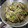 クックEOP3MI☆'s cooksnap of when they made 小松菜と もやし きのこの みソース炒め.