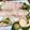 クックkosakai's cooksnap of when they made 簡単！豚バラ、豆苗、長ネギ、生姜蒸し巻き.