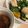 さく*'s cooksnap of when they made ヘルシー♪鶏とかぼちゃの玉ねぎ生姜ソース.