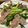 大王イカ's cooksnap of when they made 豚肉アスパラエリンギの中華塩炒め♪.