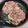 クック茶々茶's cooksnap of when they made 鳥もも肉のキノコ詰め.