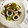 ナピト's cooksnap of when they made イカときゅうりの中華風！.