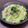 Nilmini's cooksnap of when they made キャベツとしらすの和風パスタ.