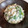 Juumi's cooksnap of when they made 美味しく簡単☆春菊の白和え.