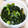＊実月＊'s cooksnap of when they made 白だしで簡単♪絹さや＆わかめの煮物.
