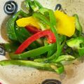さんちゃん（╹◡╹）'s cooksnap of when they made 夏の定番＊ピーマン炒め＊.