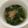 yokoyoko76's cooksnap of when they made チンゲン菜とわかめのスープ.