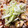 funfun119's cooksnap of when they made ❃博多のおつまみはこれ♡鶏皮の酢モツ❋.