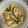 ピーナッツ子♪'s cooksnap of when they made 大粒牡蠣の卵とじ丼.