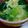 Μαｉ's cooksnap of when they made チンゲン菜と玉子の中華スープ.