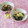 みかかめ's cooksnap of when they made わかめ大量&みょうが☆生姜炒め.