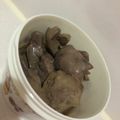 ユカtoマオマオ's cooksnap of when they made ふっくら♪鶏レバーの生姜ポン酢煮♡.