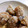 10りい's cooksnap of when they made 鰹のたたきの＊竜田揚げ＊.