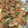 クック6DDPP8☆'s cooksnap of when they made 厚揚げと野菜の甘辛炒め.