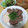 よちりん's cooksnap of when they made 牛タンととろろのネギ塩丼.