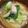 わたるんママ's cooksnap of when they made 豆腐とちんげん菜の味噌汁.