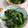 赤い電話's cooksnap of when they made 小松菜とかつお節の炒め物♪.