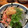 クックEN2LKI☆'s cooksnap of when they made 今が旬 生桜えび生しらす丼 簡単.