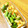 ゆき’sキッチン's cooksnap of when they made たけのことスナップエンドウのおかか炒め.
