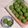 アクセル☆'s cooksnap of when they made ＊すぐ出来る！レンジで抹茶クッキー＊.