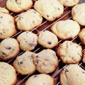 イノコ台所研究所's cooksnap of when they made 動画付♡贅沢バターチョコチップクッキー.