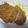きらり流れ星's cooksnap of when they made パパが休日に作る『豚カツ』.