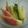 うさぎー's cooksnap of when they made 簡単♡食べ易い♡夏野菜のピクルス♡.